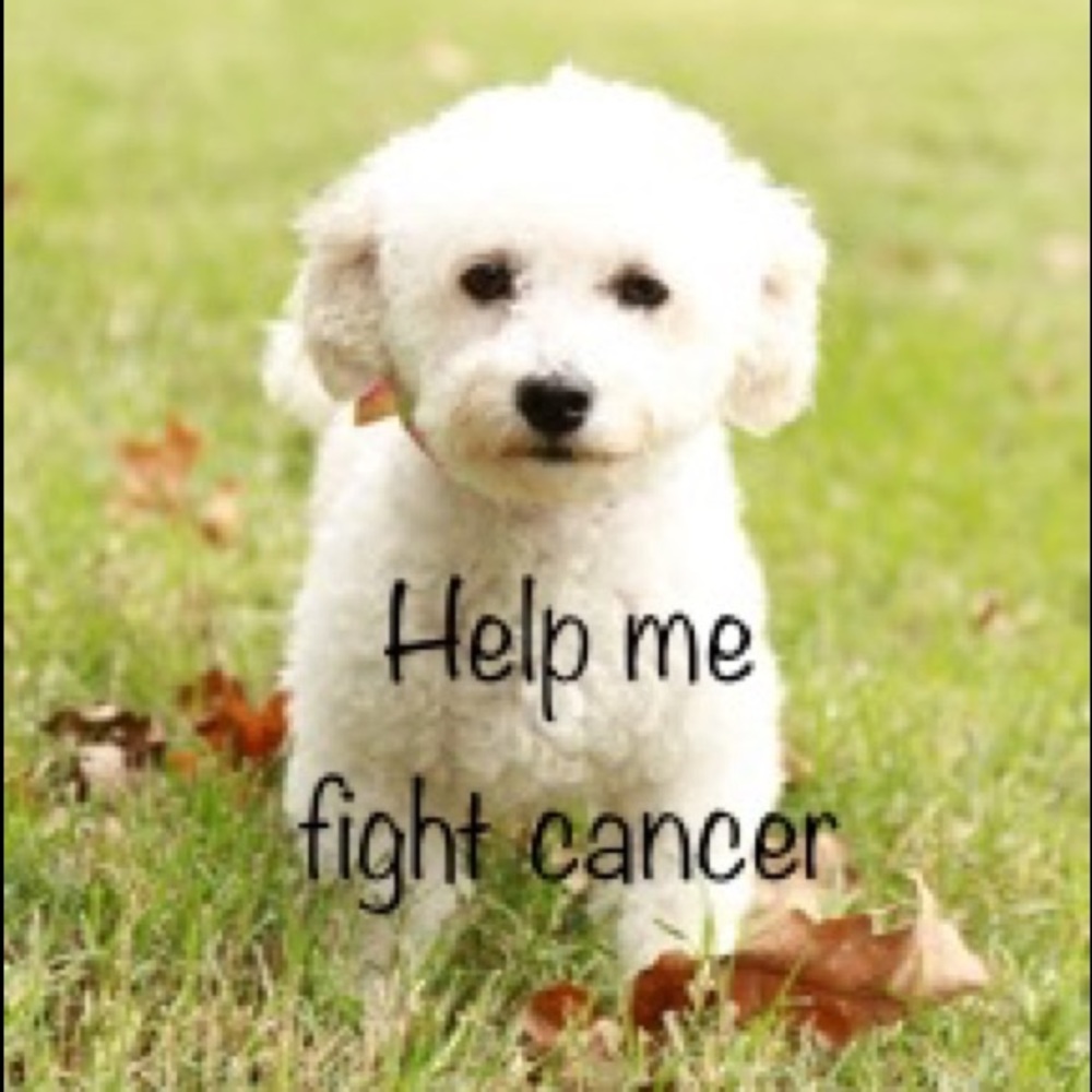 Profits go to treatment of Karli’s cancer